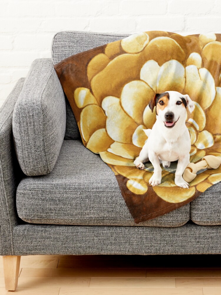 jackbermess's tweet photo. Shimmering Gold Geometric Shapes: Elevate your products with this jaw-dropping design Pet Blanket
https://t.co/RHxHazDRAv
#RedBubbles #design #golden #decor #homedecor #geometryforme #goldenflower #petblanket https://t.co/BCuMqkyFLU