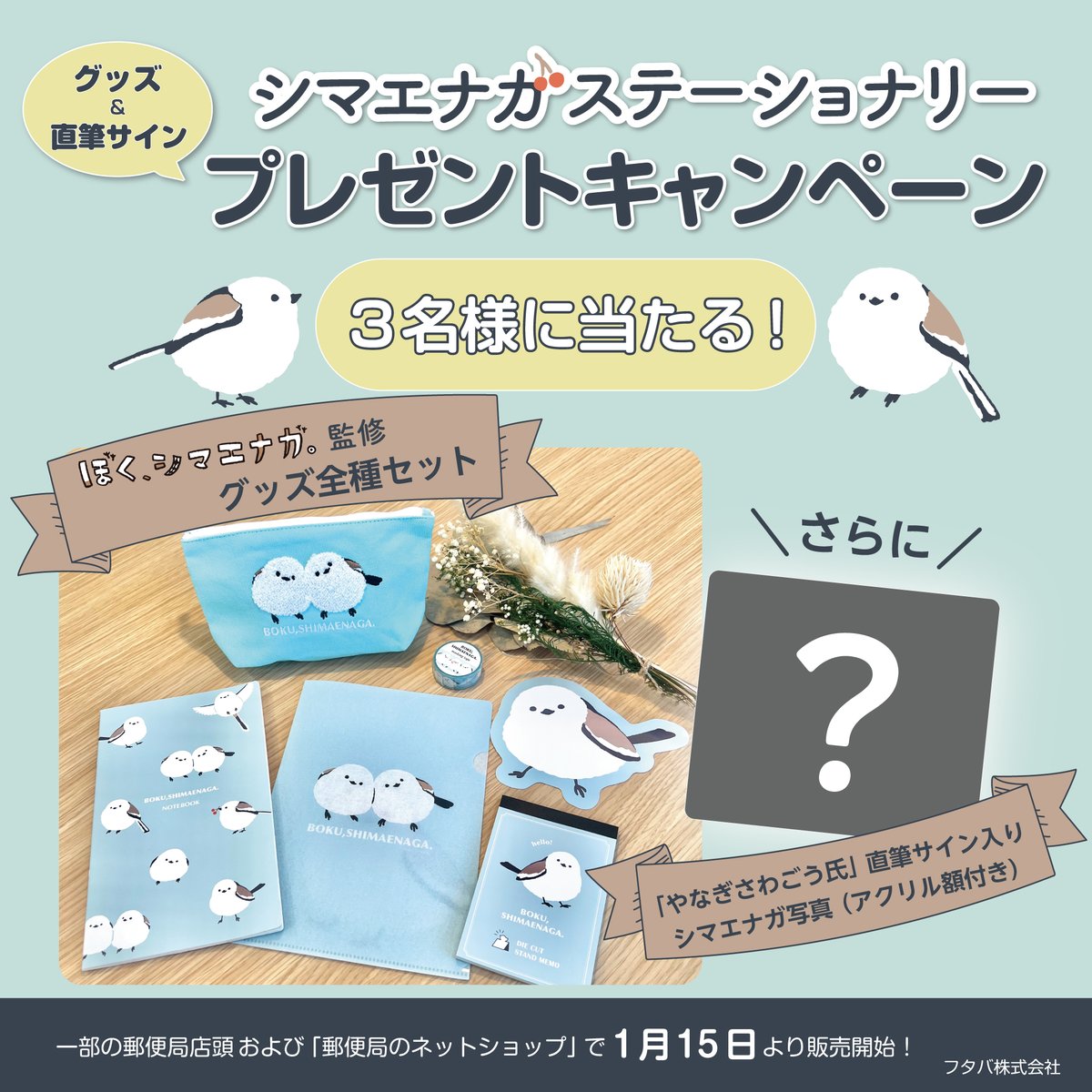 Futaba_product's tweet photo. ぼく、シマエナガ。監修👀
シマエナガグッズ ＃プレゼント企画 #キャンペーン

グッズ全種セット＆「やなぎさわごう氏」直筆サイン入りシマエナガ写真が3名様に当たる✨

【応募方法・期限】
① ＠Futaba_productをフォロー
② この投稿をリポストで応募完了
※2024年1月20日まで https://t.co/b0JnnGoXEc