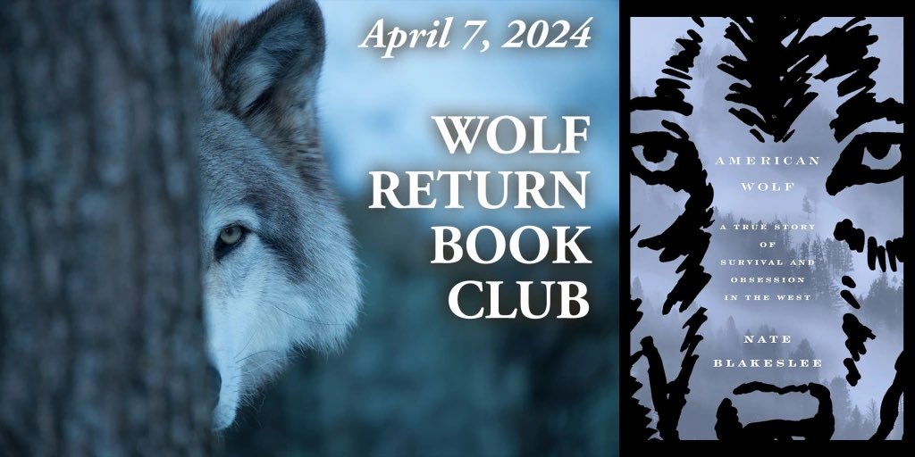 As wolf reintroduction begins in Colorado, this winter feels like a perfect time to launch the WOLF RETURN BOOK CLUB. We have two great books lined up! Registration begins this Wednesday, 10am. Click here for more:
landlibrary.wordpress.com