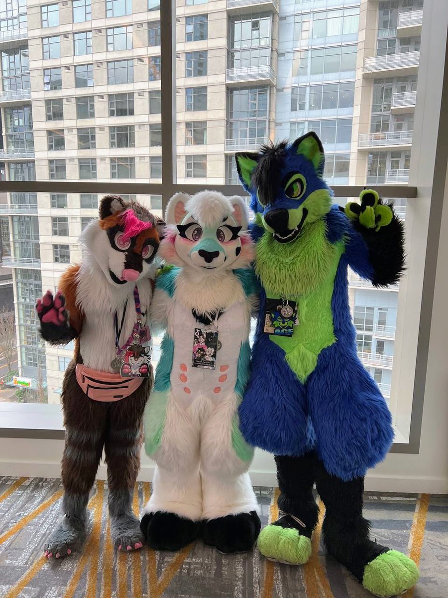 Experiencing the PCD, but it's nice to look back at nice photos of cute critters ✨