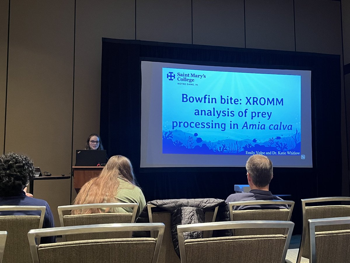 Emily Volpe tweet media