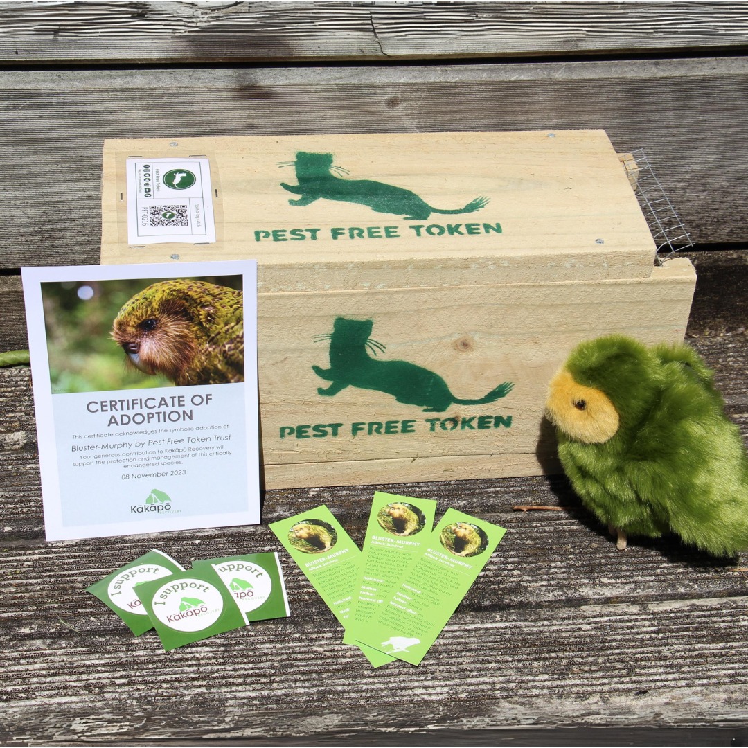 PestfreeToken's tweet photo. We are the proud adoptive 'parents' of #BlusterMurphy; a #kickass kakapo!
Bluster is two toes short after was being attacked by a male #kakapo in the nest. He rocks his mild #disability which is why he is cool!
#kakaporecovery #parrot #pestfreetoken #PFT #adoption #donation https://t.co/U12qxGQWpw