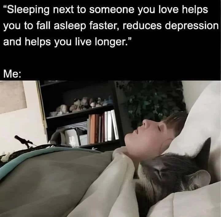 #funny #cats #cat #Trending #TrendingNews