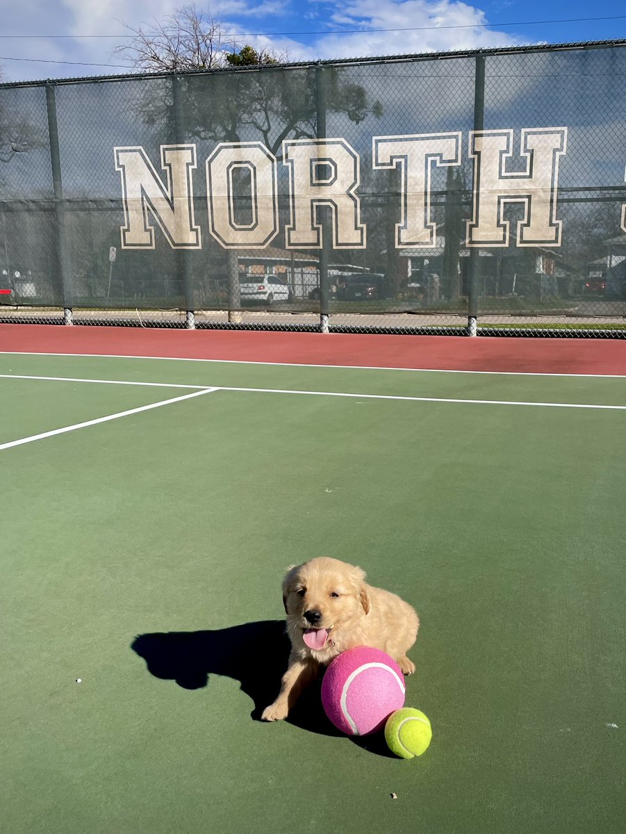 NSHSsteerTennis's tweet photo. Coach North was excited school is back in session because that means #SpringTennis is back!!!
π€π½πΎπΆ#ForTheSchoolUponTheHill https://t.co/PrWYcaGGk6