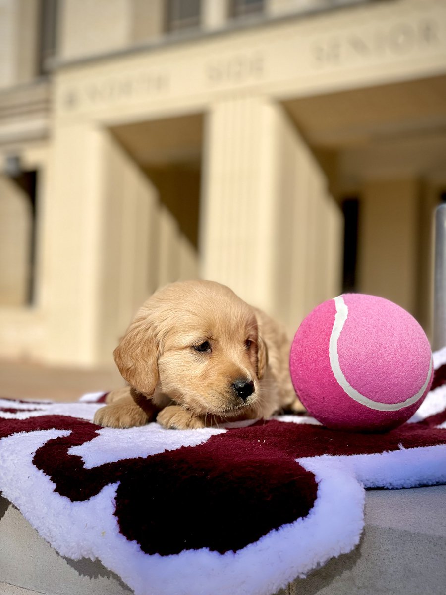 NSHSsteerTennis's tweet photo. Coach North was excited school is back in session because that means #SpringTennis is back!!!
π€π½πΎπΆ#ForTheSchoolUponTheHill https://t.co/PrWYcaGGk6