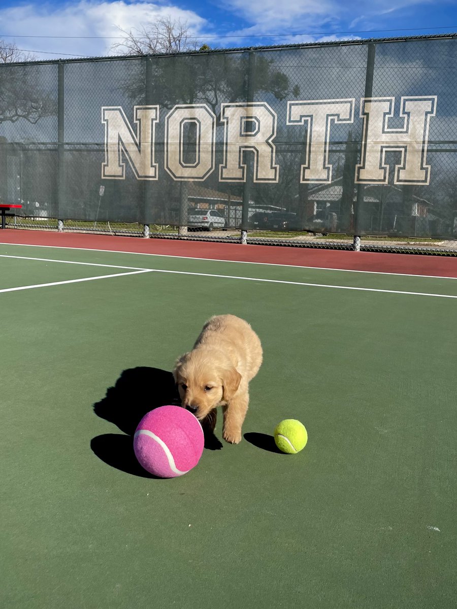 NSHSsteerTennis's tweet photo. Coach North was excited school is back in session because that means #SpringTennis is back!!!
π€π½πΎπΆ#ForTheSchoolUponTheHill https://t.co/PrWYcaGGk6