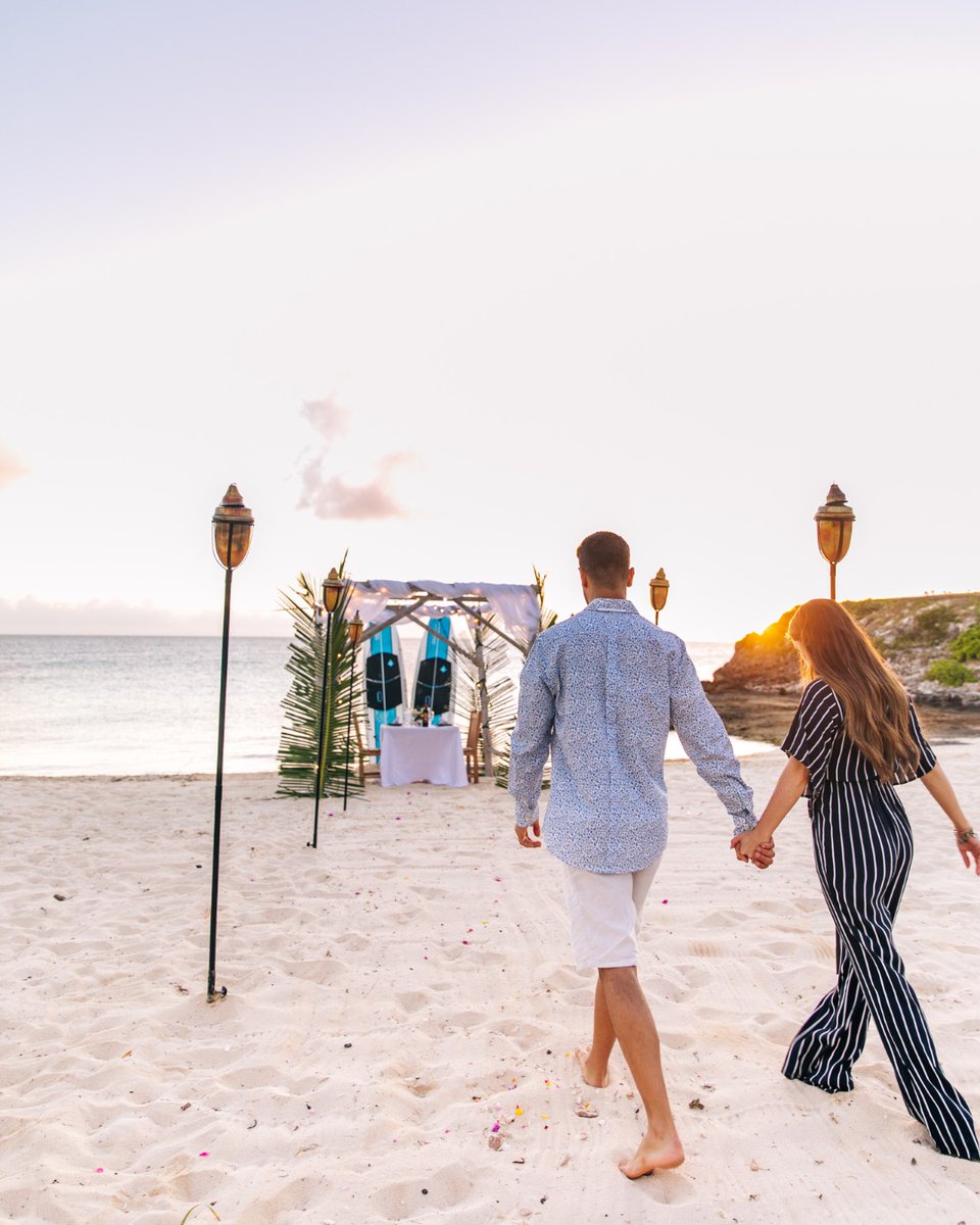 The Cove | Eleuthera tweet media