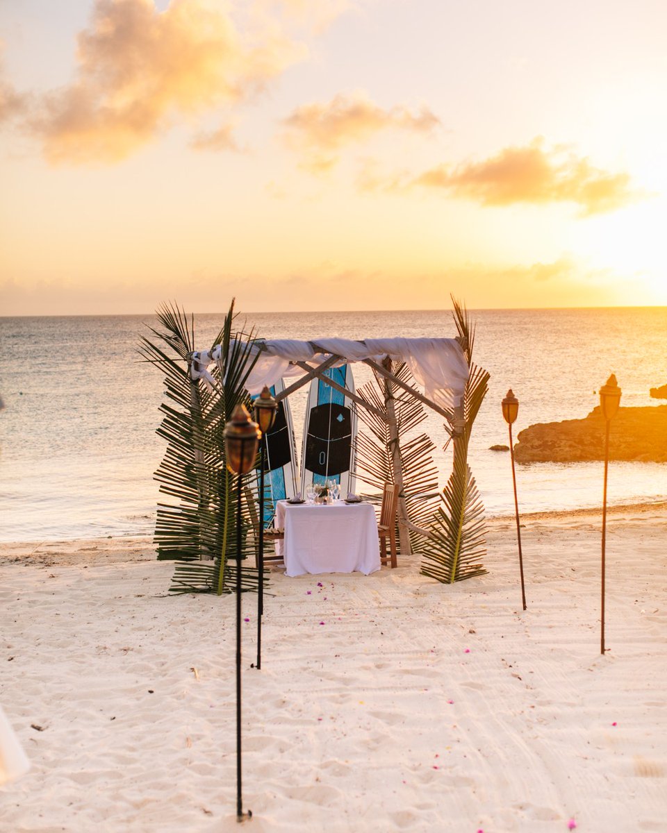 The Cove | Eleuthera tweet media