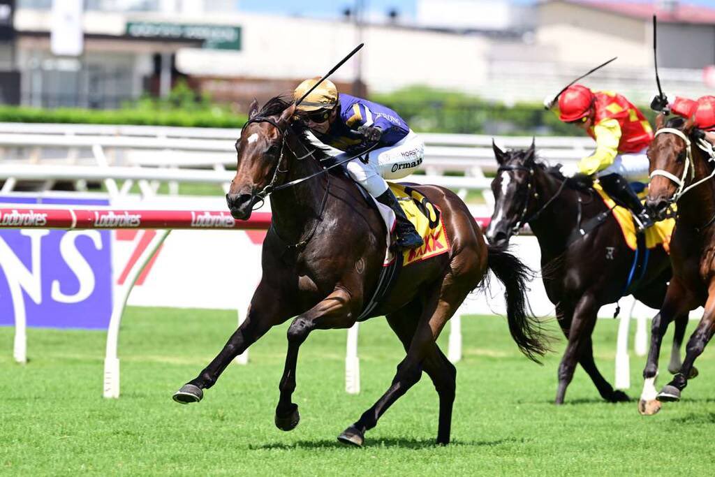 📣 MAGIC MILLIONS RUNNERS 📣 A huge thrill to have two runners in the $1m @mmsnippets The Syndicate on Saturday ⚜️ BOSSED UP (Barrier 6) @tonygollan @CWilliamsJockey ⚜️ RELIABLE RUBY (Barrier 1) @munceracing @_damienthornton An exciting few days ahead for our partners 🎉