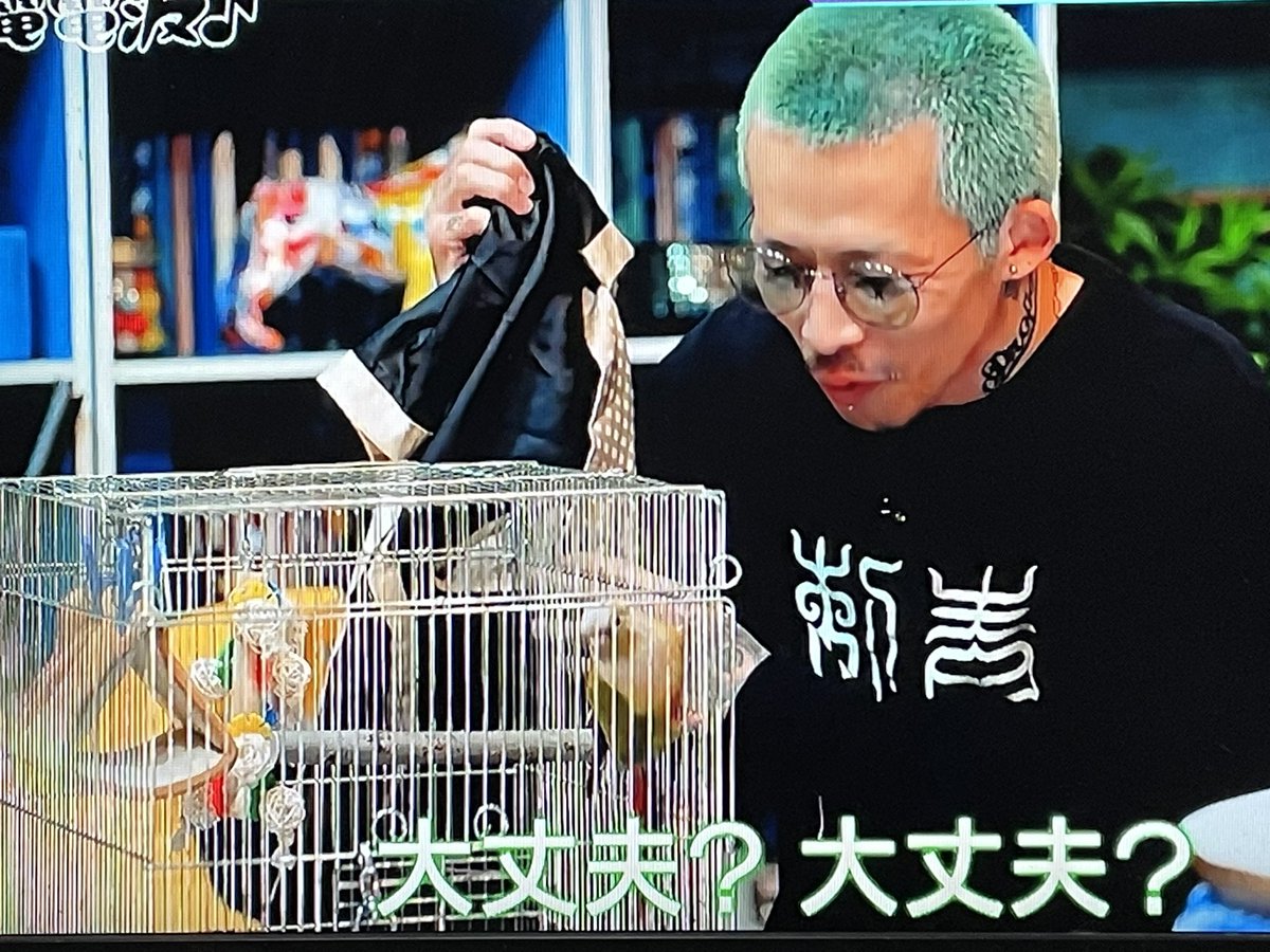 topiggs's tweet photo. 電電電波に出たホルモン上ちゃんがライアンに見えて��方が無い🦜
#PIGGS
#ryan_B
#電電電波 https://t.co/656Jg2BE9g