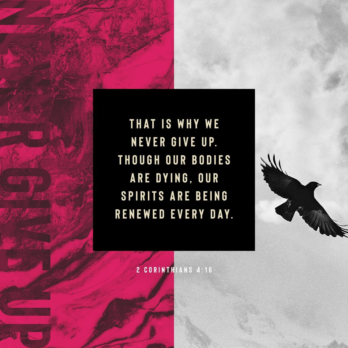 TheGodlyWisdom's tweet photo. Daily Verse - 2 Corinthians 4:16 https://t.co/Lty0izzqRJ