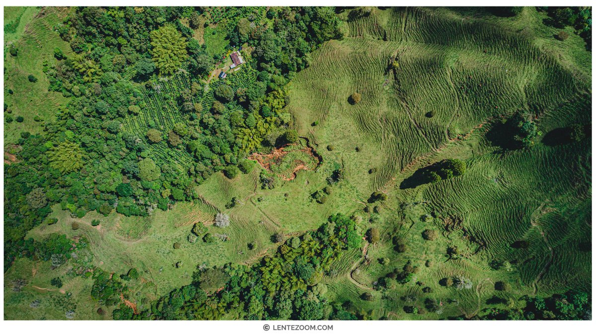 MiLenteZoom's tweet photo. Vista aérea de coloridas montañas cubiertas de bosques y pástales en la zona alta de la Cordillera Central de Colombia en Calarcá, Quindío. https://t.co/F9xq1T4zqA