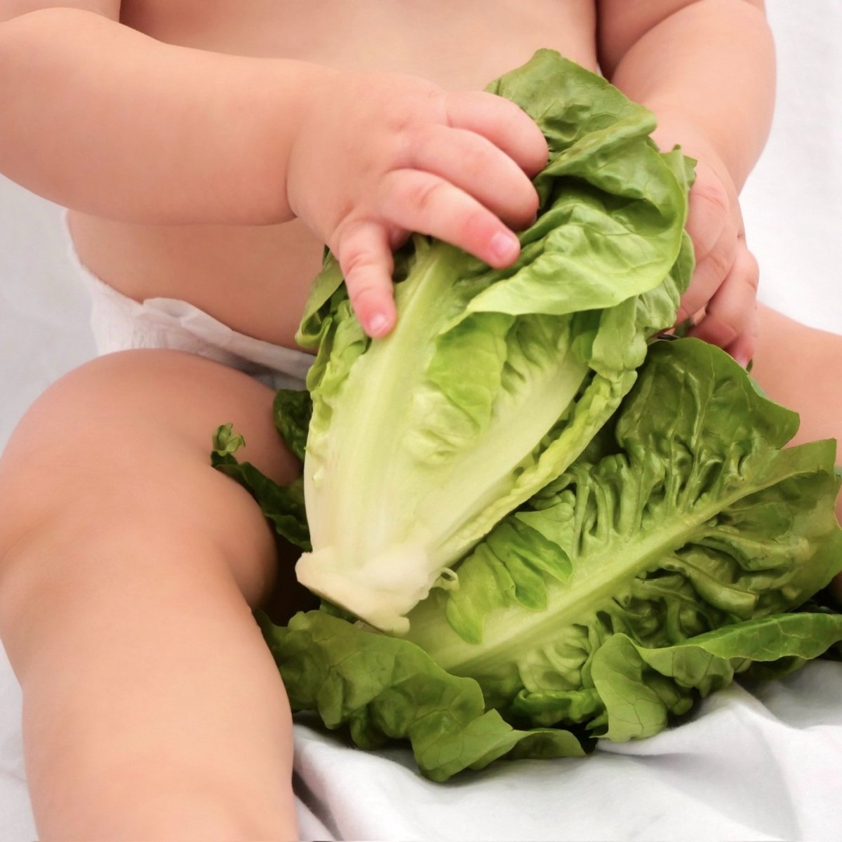 AndyBoyInc's tweet photo. We can't wait for you to get your hands on our newest #AndyBoy product! 😉👶💎🥬 #AndyBoyproduce #newproduct #produceindustry #eatyourveggies https://t.co/TiYCx9FvBU