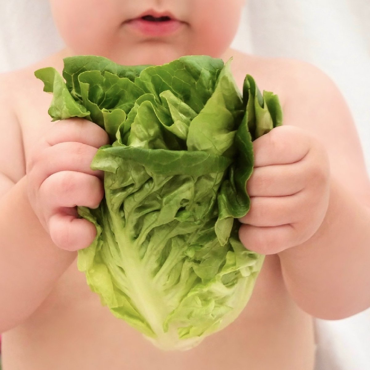 AndyBoyInc's tweet photo. We can't wait for you to get your hands on our newest #AndyBoy product! 😉👶💎🥬 #AndyBoyproduce #newproduct #produceindustry #eatyourveggies https://t.co/TiYCx9FvBU