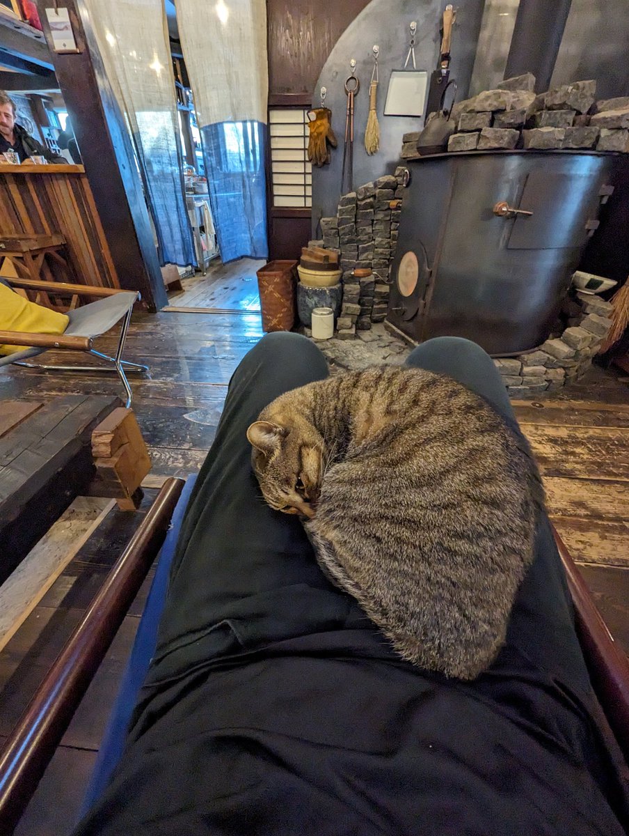 DarcyArchived's tweet photo. also met this cat that lives in a hostel on top of a mountain https://t.co/EsTbCaCqab