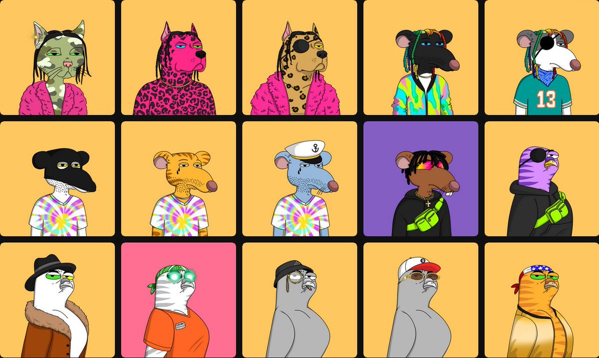 aspenshredder's tweet photo. I don't often tell my story but when entering the @GutterCatGang I started with 1 clone. Then I started collecting the originals. I like the #gutterboard because you can see your ranking in the gang. Collecting has been fun this bear market. #ganggang https://t.co/P9mXu8peOH