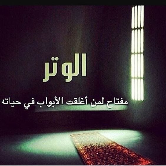 F_oOf9's tweet photo. أَوْتِرُوا قبْلَ أَنْ تُصْبِحُوا .. https://t.co/rYuaneJWV7