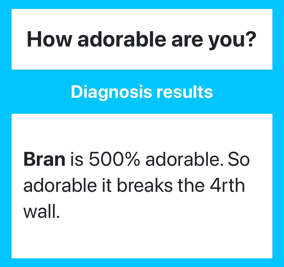 Bran Muffin tweet media