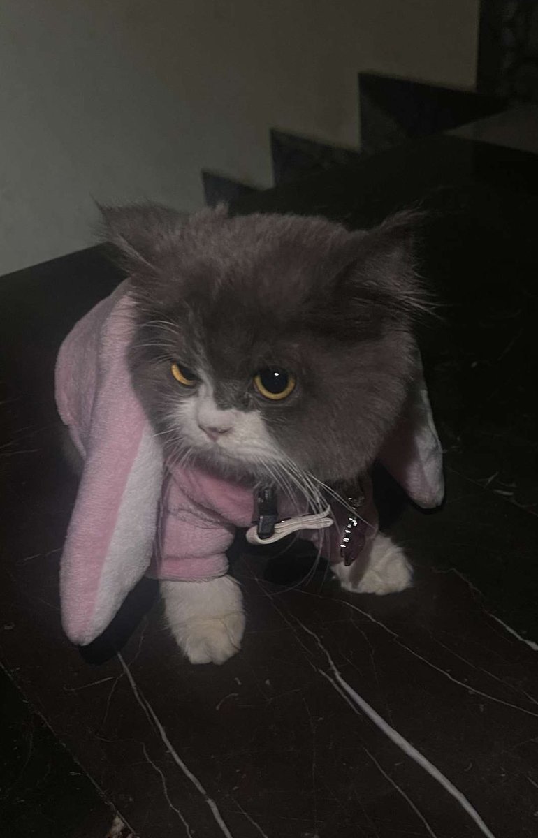 بنتيي🛍️🎀