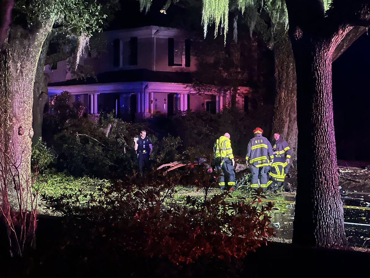 sydbouchelletv's tweet photo. Crews working to clear a large tree on Market Street between 18th and 19th Streets near Temple Baptist Church. Traffic blocked in both directions. https://t.co/FcBzHep8KD