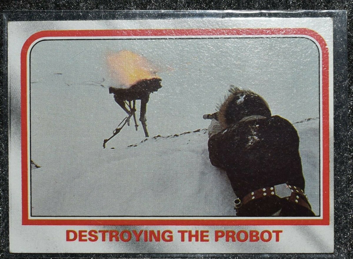 If you see this, roast a probot.