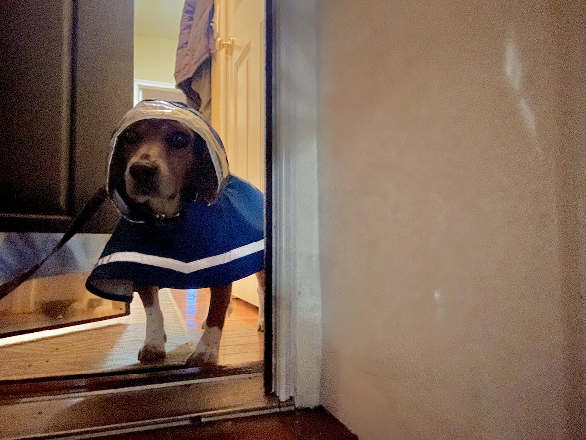 I think I’ll stay inside here, thanks 🌧️