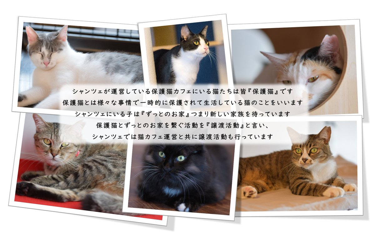 schanze111's tweet photo. 「シャンツェ」はあなたの「動き出したい」をサポートする就労継続支援B型事業所です。

詳しくはコチラ⇓
https://t.co/Bc4LcggO4E https://t.co/fLlbJz4bBx