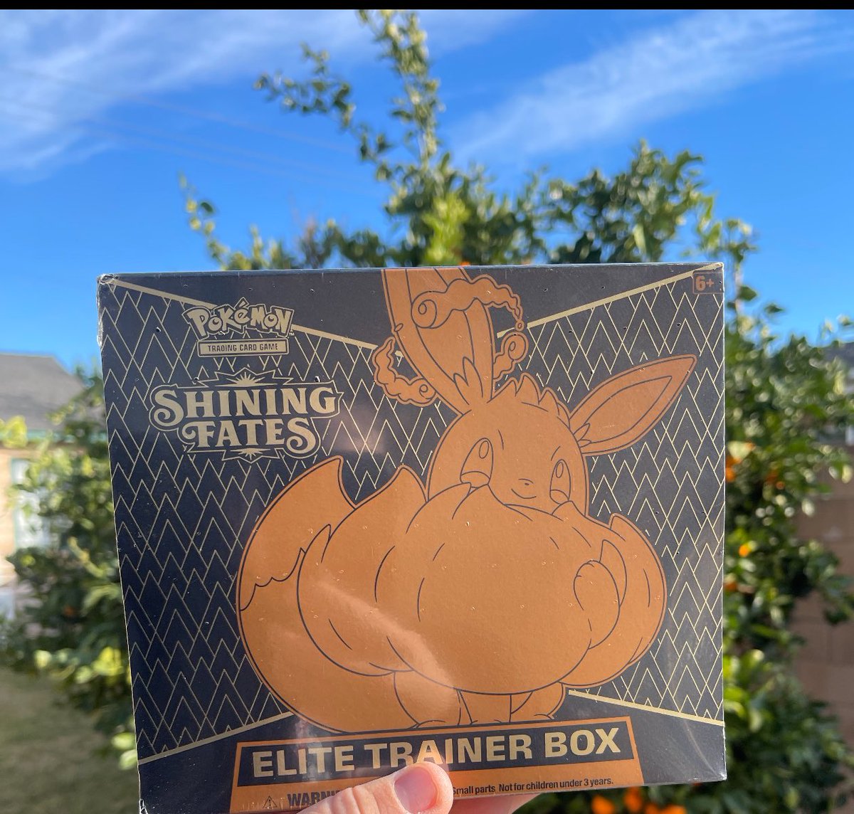 WlTNESS's tweet photo. First give away!
Giving away a shiny fates etb. 
 And I'll cover shipping I won't correyybands you. 

✅ Follow 
✅ Repost &amp; tag a friend 

Ends the 19 of Jan https://t.co/fNjCtcv9fA