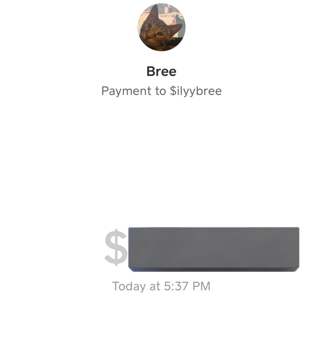 1st Cashapp winner for subscribing 💰