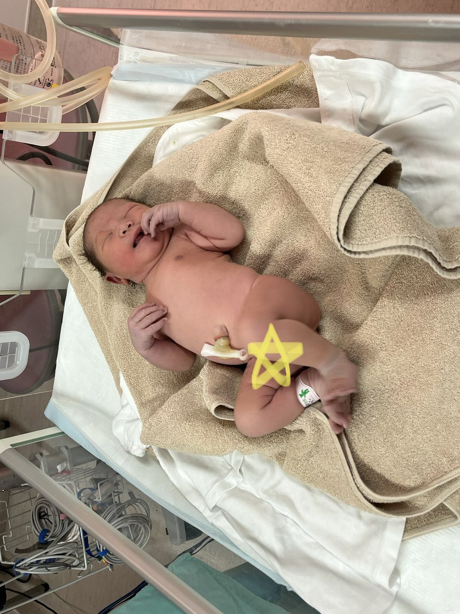 penadayo's tweet photo. ペなJr爆誕👶🏻 https://t.co/lLLfXPVzIv