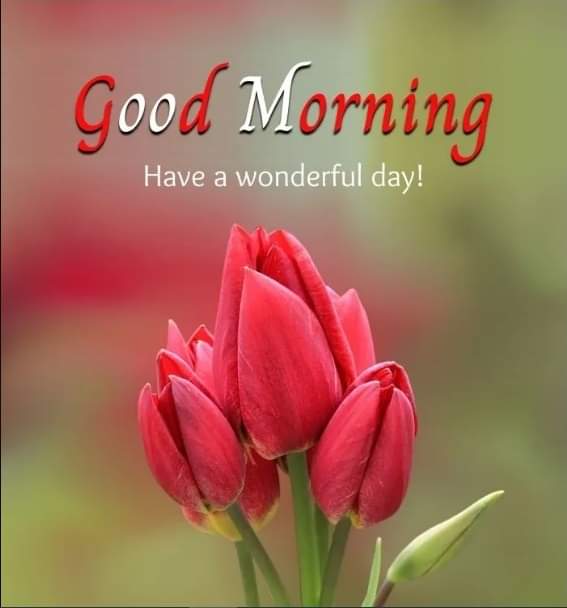 IshtiaqIs96963's tweet photo. Asalamo alaikum Friend's Good Morning To All 🙏 💙💚💛💜❤💙💚💛💜❤ 🙏
#GoodMorning #GoodMorningWishes #GoodMorningMessages #GoodMorningImages https://t.co/qiMRw6Uhnj