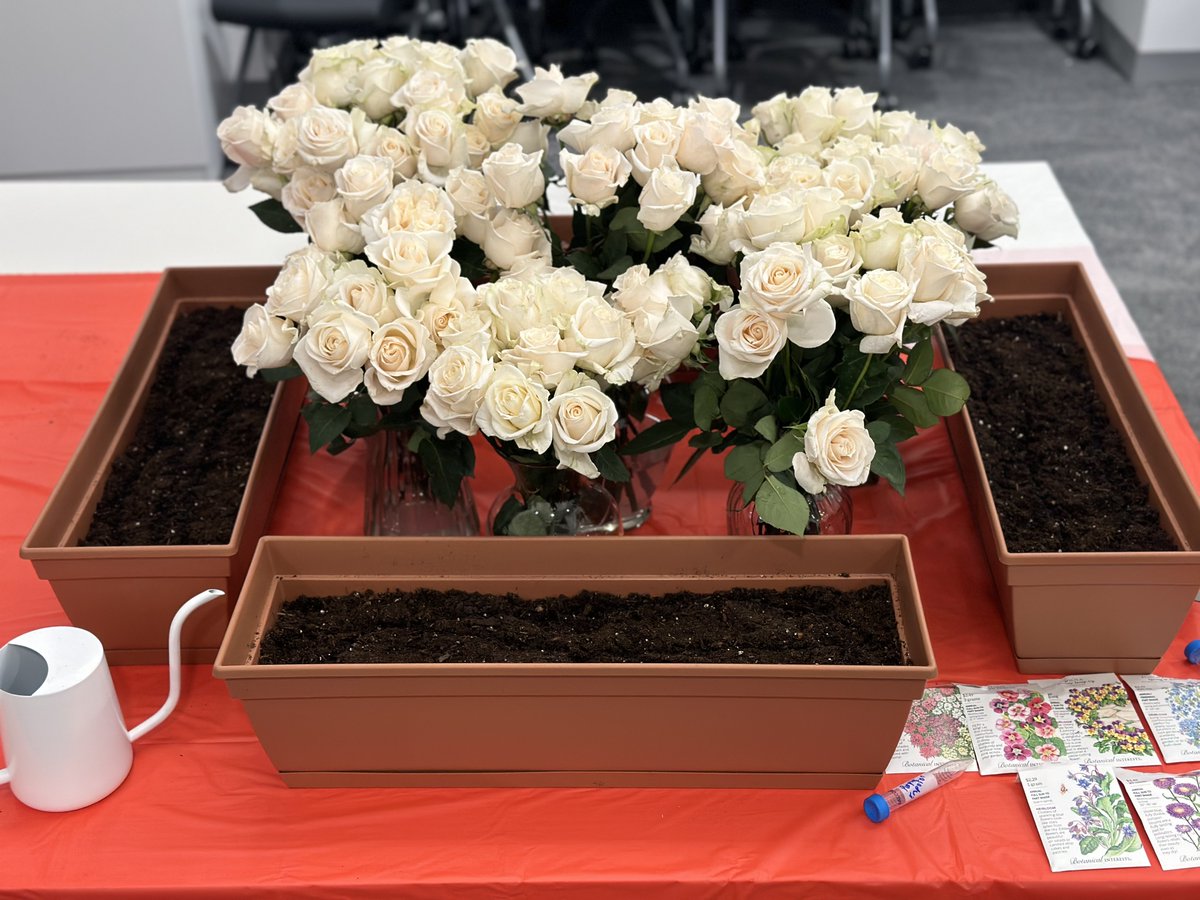 It is the 15-year anniversary of our first (early post-mortem) #DIPG tissue donation… my lab has since received 106 such tumor donations💔. So today, we placed 106 roses, one in honor of each child, and planted 106 seeds, to represent the knowledge gained from each.