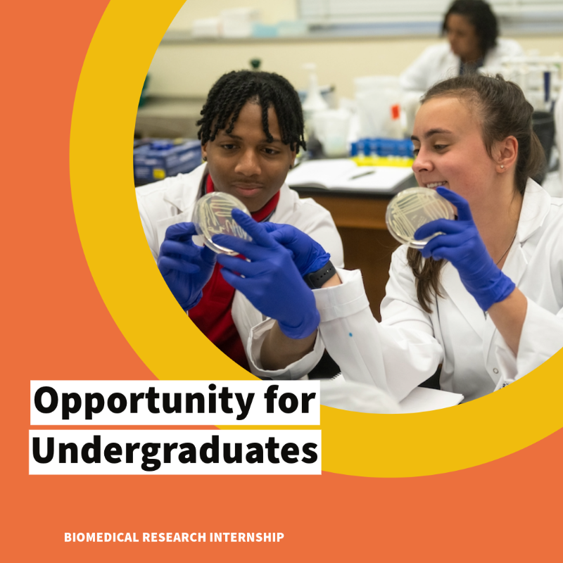 MS_INBRE's tweet photo. Seeking to excel in grad school admissions? Join the Mississippi INBRE Research Scholars Program, where you'll gain the skills and knowledge to make your application stand out. Apply today, and remember, the deadline is 2/4/2024. #internship