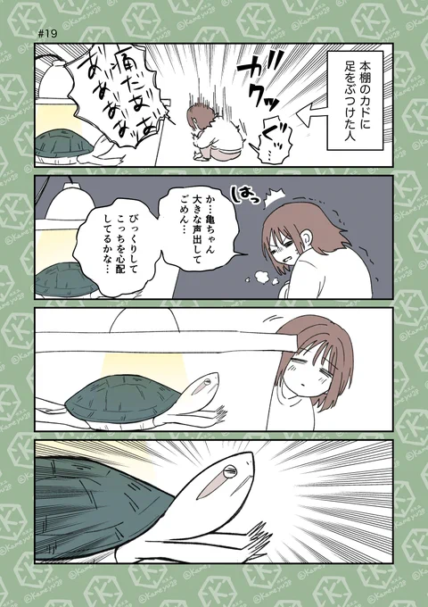 全集中の温浴
#4コマ漫画 #亀 
