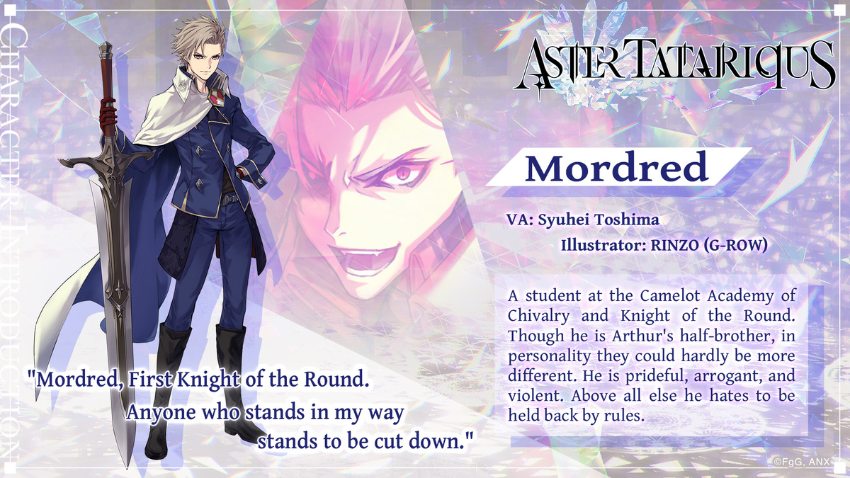 Aster Tatariqus Official tweet media