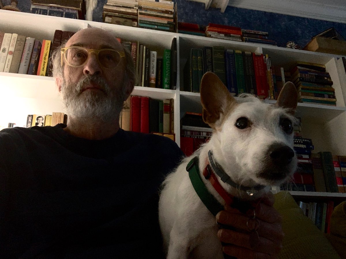 a couple of older dogs