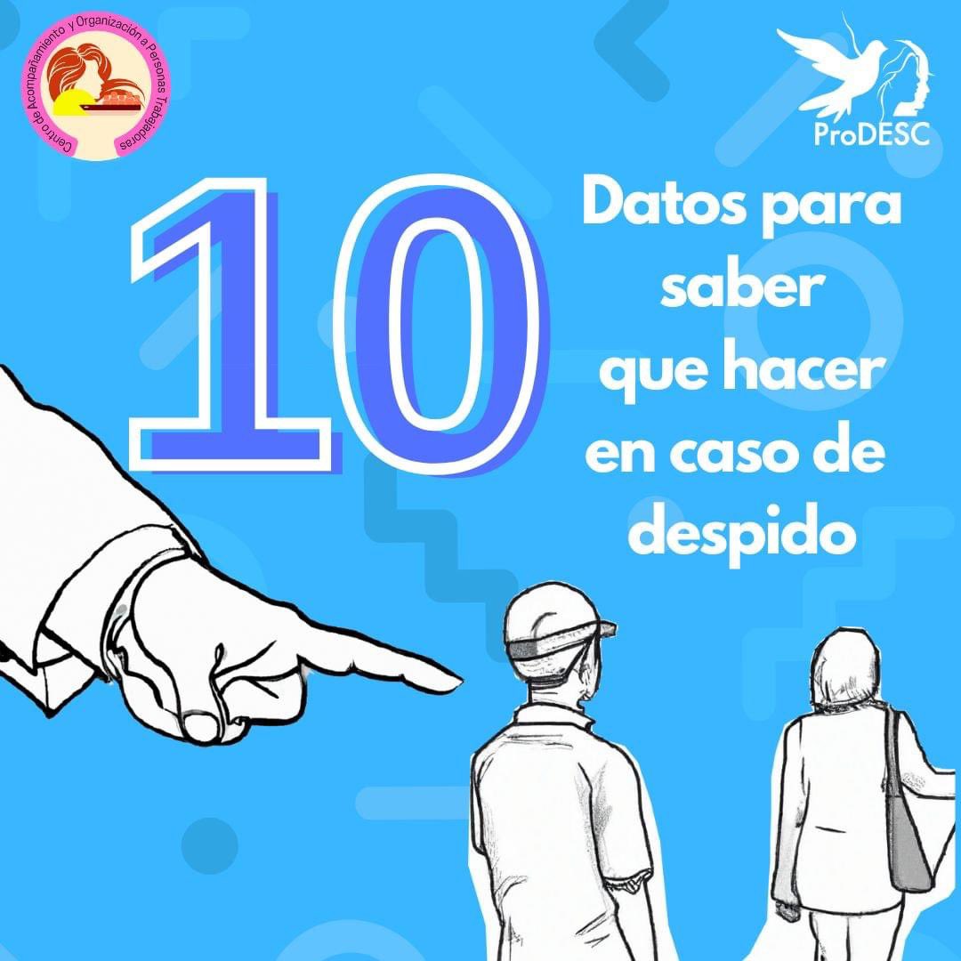 ProDESC's tweet photo. ¿Te despidieron del trabajo y no sabes que hacer?🧐

Las integrantes de la Colectiva de Mujeres Rosa Luxemburgo te recomiendan seguir estos 🔟 pasos esenciales para que recibas la indemnización que marca la ley.

Conoce más de tus derechos humanos laborales en el #CAOPT👇
https://t.co/ze6eQDVusA

#derechoslaborales #Despido