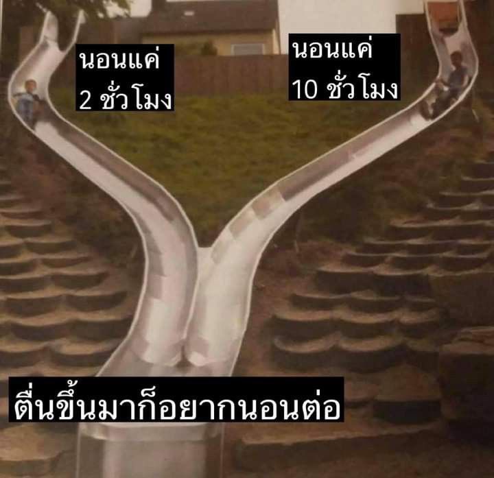 ยืนหนึ่งเรื่องนอน