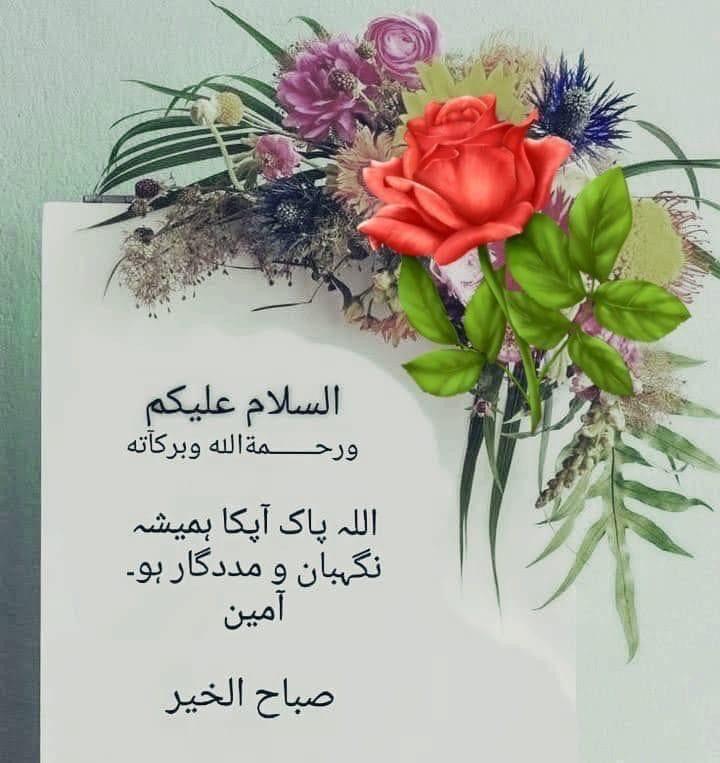 islamicWorld_AM's tweet photo. السلام علیکم ورحمتہ اللٰہ وبرکاتہ
🌄صباح الخیر🌄
درود پاک ﷺ کثرت سے پڑھنے والوں کی دعائیں کبھی رد نہیں ہوتیں 

صَلَّى اللَّهُ تَعَالٰى عَلَيْهِ وَاٰلِه وَســـــــــَلَّم ﷺ 🩶

🌴أّلَلَهّــــــمً صّـلَِ وٌسِـلَمً وٌبًأّرڪ عٌلَى سِـيِّدٍنِأّ وٌنِبًيِّنِأّ وٌحًبًيِّبًنِأّ  םבםנ ﷺ https://t.co/PoSlp6Lexb