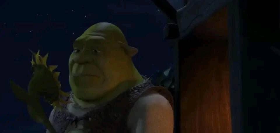 been feeling like shrek with his ears down lately