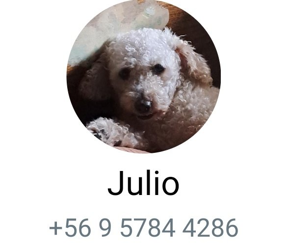 diegorey164's tweet photo. Para la persona que quiera priva https://t.co/UJvuKrSDPF