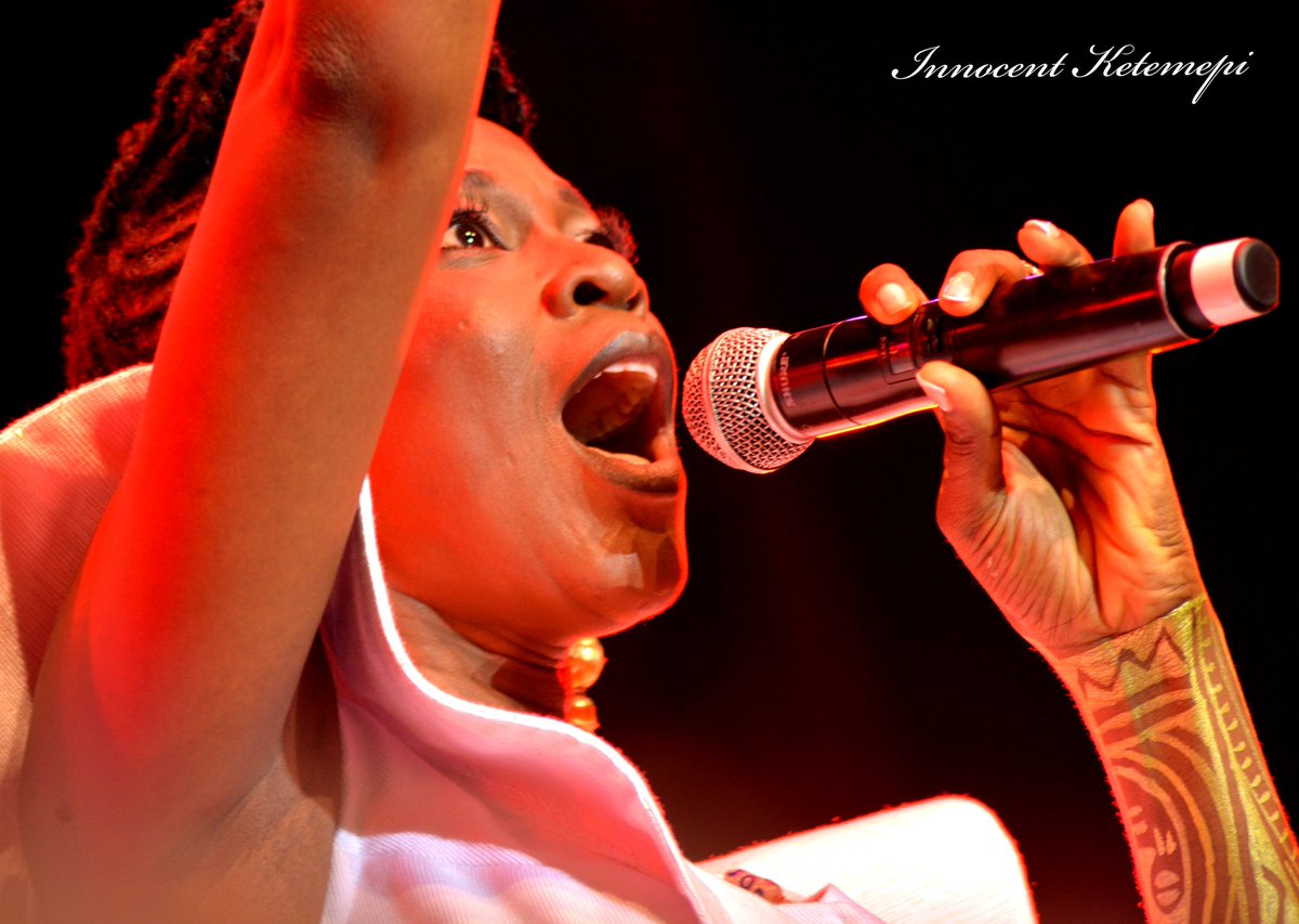 @pepe_oleka une bête de scène, une énergie débordante et envoûtante, un talent hors pair.
Scène <a href="/vodundays/">Vodun Days</a> 1ère édition 2024 à Ouidah.

#artist #singer #live #picture #vodundays #traditional #traditionalart #micro #concert #creativity #gallery #benin #africa