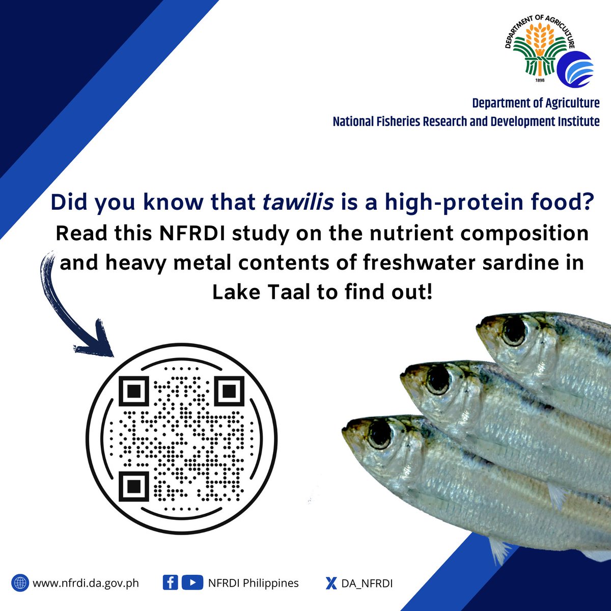 DA_NFRDI's tweet photo. Discover what nutrients are gained by eating tawilis, the only freshwater sardine in the world, in this scientific study!
#tawilis #nutrient #food #taal #sardine #TPJF #NFRDIresearch
READ: https://t.co/vtYckojZa2 https://t.co/K9dYnsZGqX
