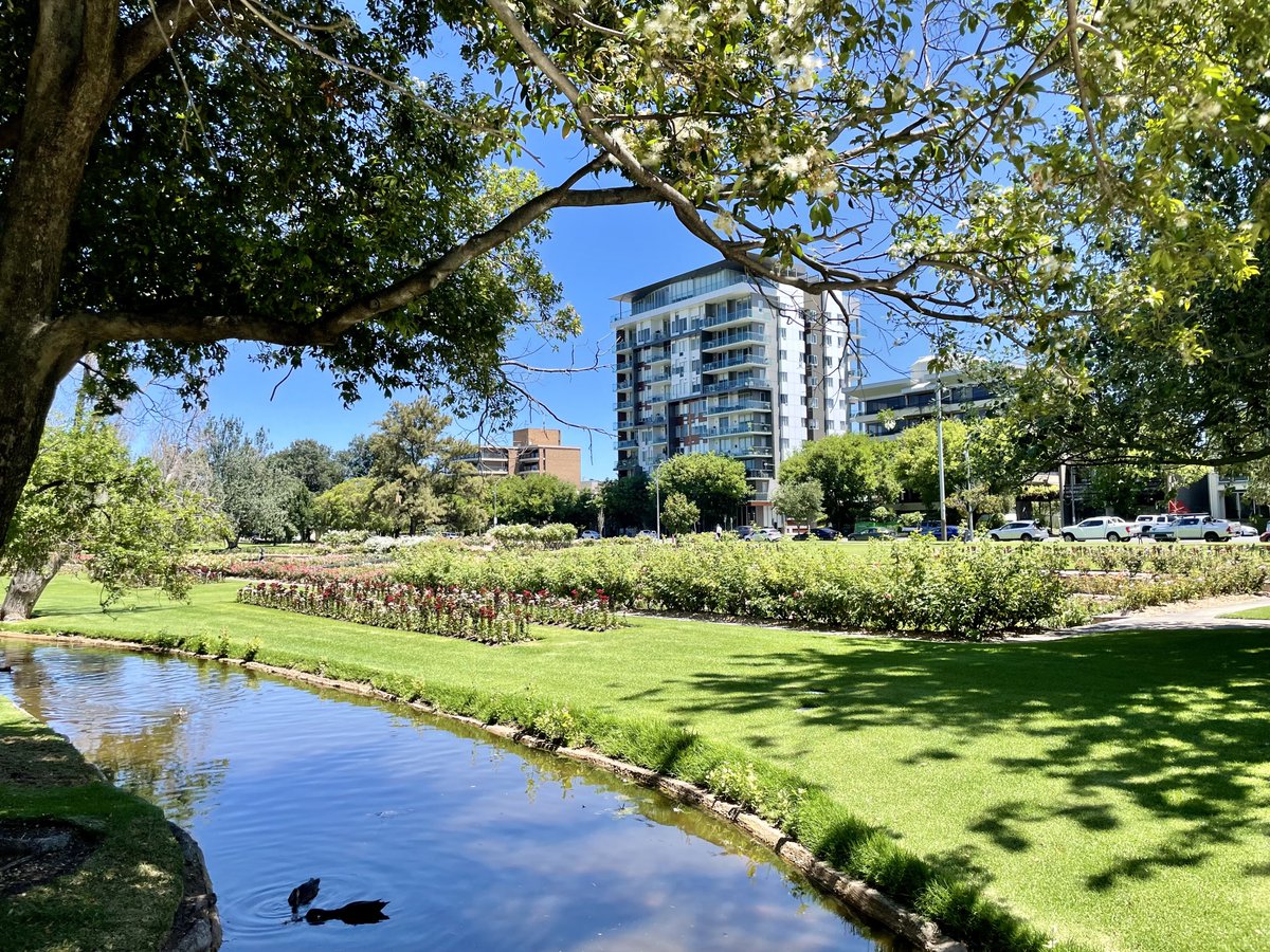 2.5k lunch walk 🚶🏻‍♂️around #Adelaide parklands. Soaked up the sun ☀️ & superb weather. Sorry to rub it in for those in the Northern Hemisphere. Love my “nature time” 🌿 during a work day. Believe in yourself. Dream big. Relentlessly pursue your dreams. Keep moving forward.