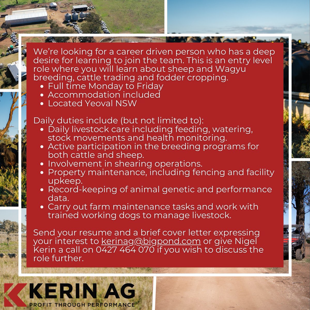 We’re hiring!
Send your resume and a brief cover letter expressing your interest to kerinag@bigpond.com or give Nigel Kerin a call on 0427 464 070 if you wish to discuss the role further. 

#AgricultureJobs #FarmWork #AgriCareers #FarmingJobs #AgJobs #JuniorFarmHand
