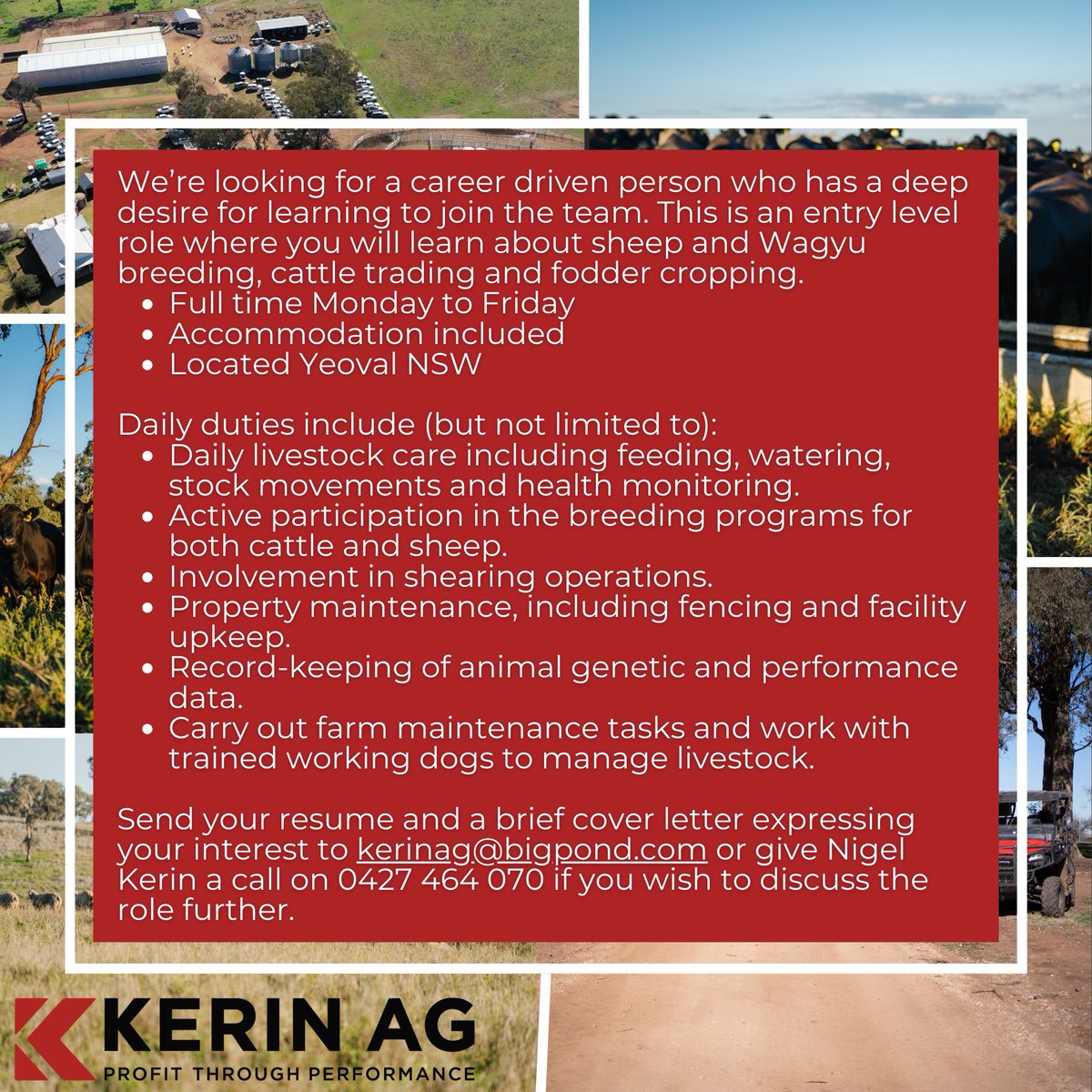Kerin_Ag's tweet image. We’re hiring!
Send your resume and a brief cover letter expressing your interest to kerinag@bigpond.com or give Nigel Kerin a call on 0427 464 070 if you wish to discuss the role further. 

#AgricultureJobs #FarmWork #AgriCareers #FarmingJobs #AgJobs #JuniorFarmHand