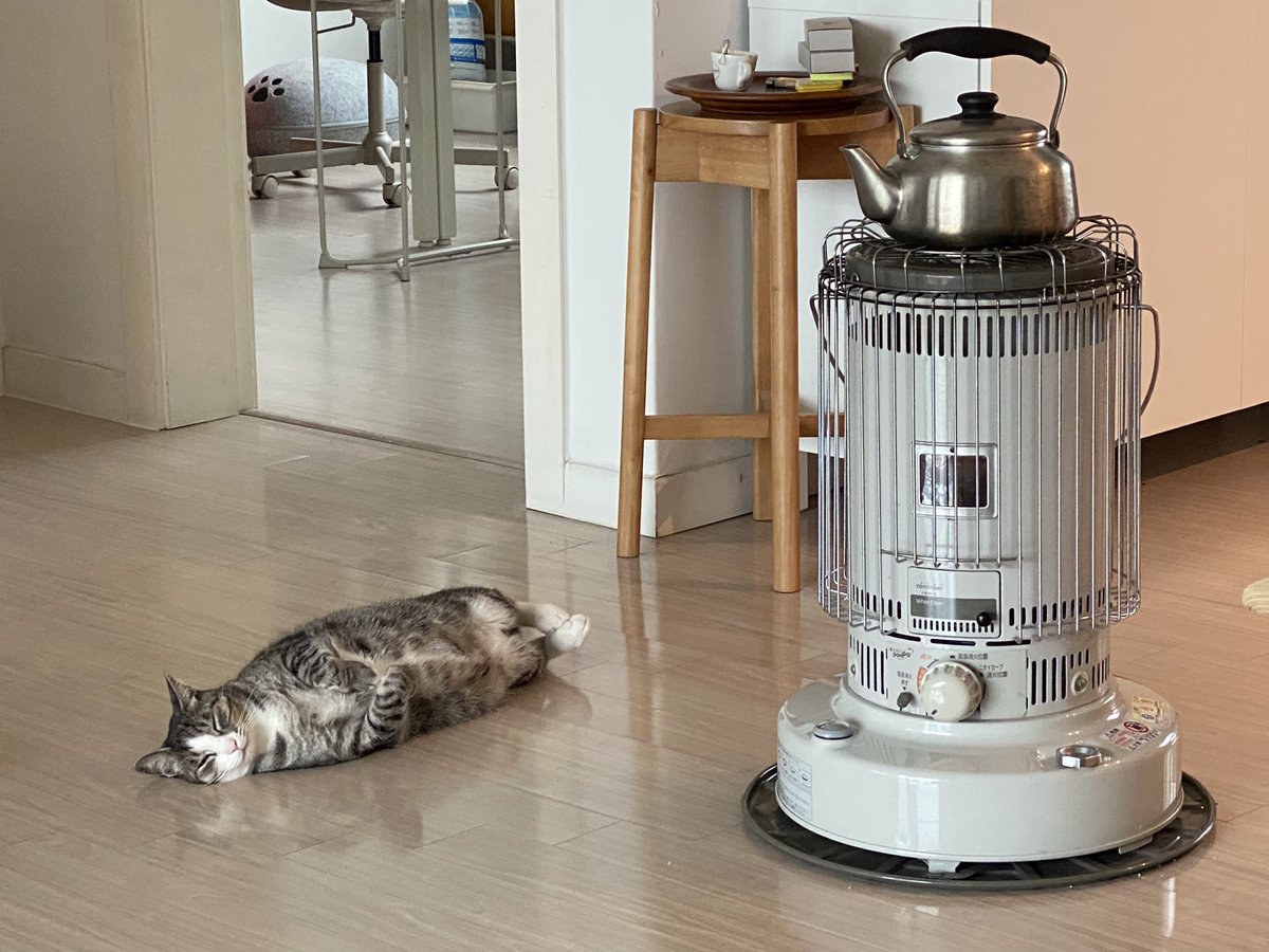 난로 사랑 물개