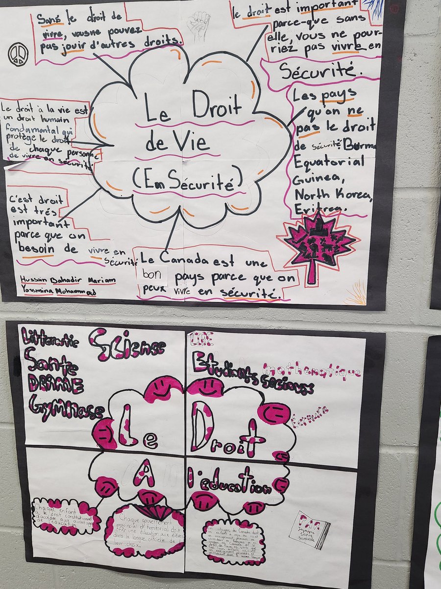 Our Grade 6FI class completed an inquiry into the Charter of Rights &amp; Freedoms. Each group selected an area of focus and created these awesome visuals. 
Bon travail! #frenchimmersion #grade6socialstudies <a href="/DesmondHDSB/">Viola Desmond Public School</a>