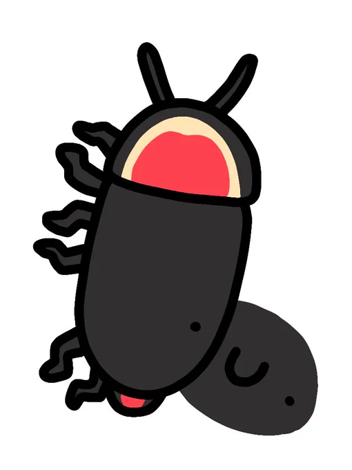 サキシママドボタル 
