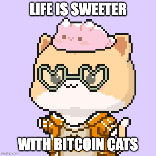 Bitcoin Cats tweet media